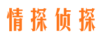 东丰侦探公司